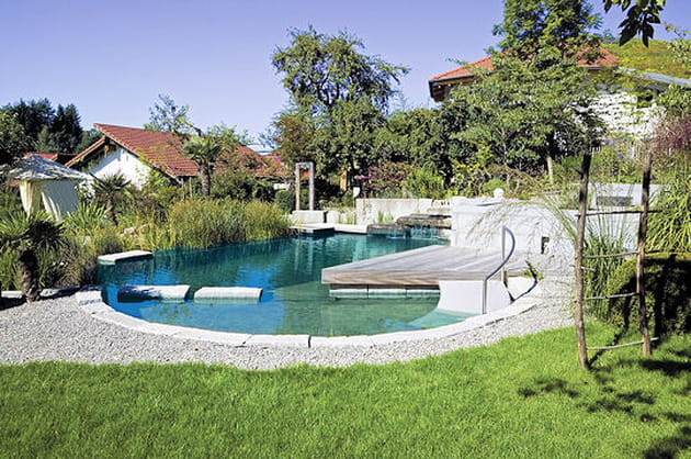 Le design de la nature