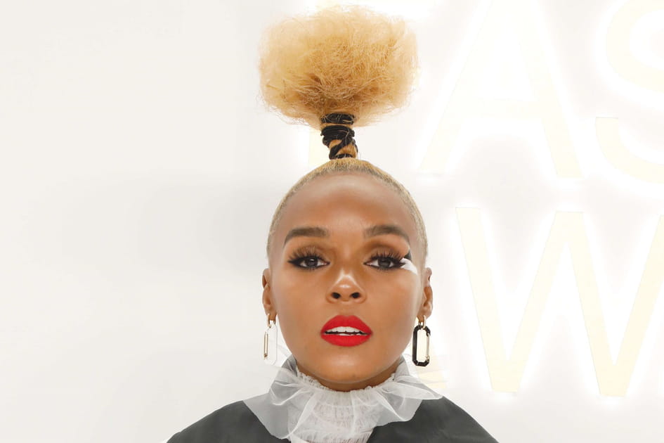Le palmier capillaire de Janelle Mon&aacute;e
