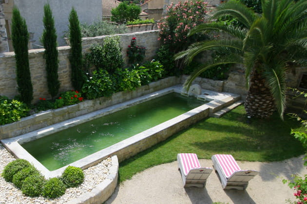 Des arbres et arbustes