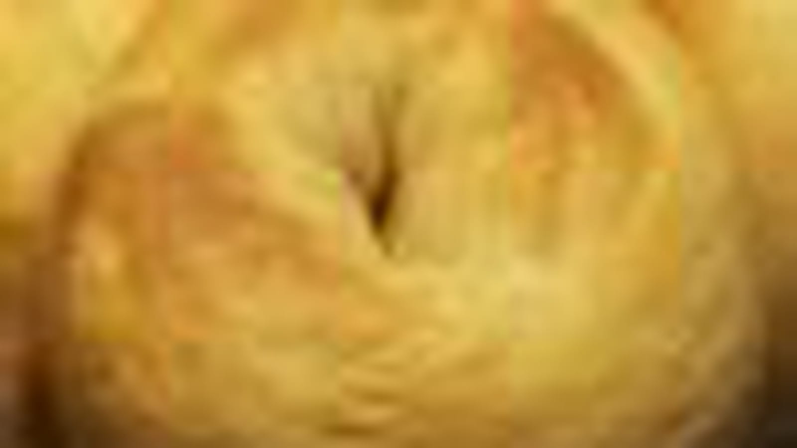 Bagels