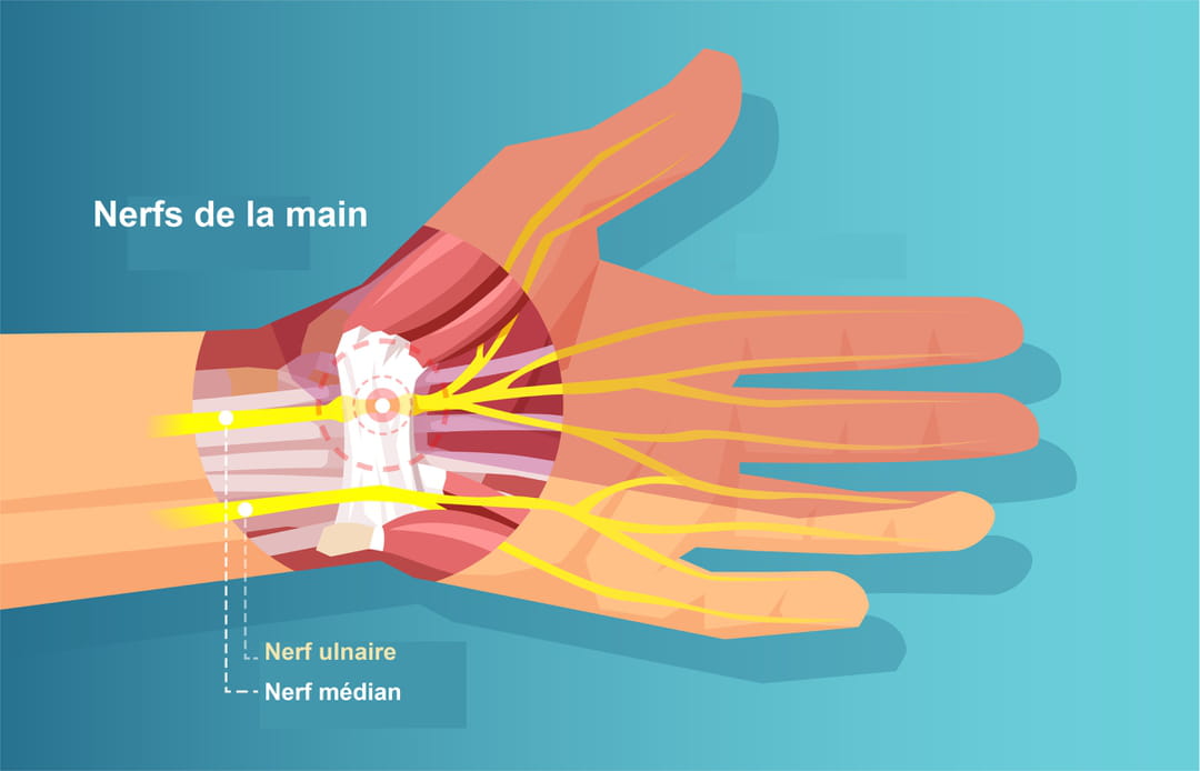 https://img-3.journaldesfemmes.fr/iAwEZgU4t7dywwyQDYEbRdD3N3E%3D/1080x/smart/3079bca2ed99473c92b4ba50ef39dced/ccmcms-jdf/33301758.jpg