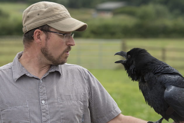 Le dressage des oiseaux