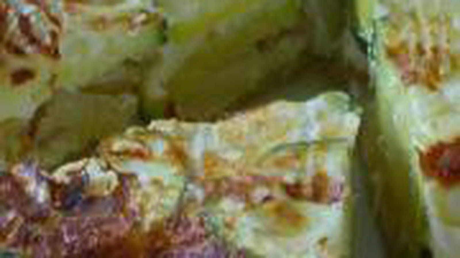 Tatin de courgettes et noix de cajou