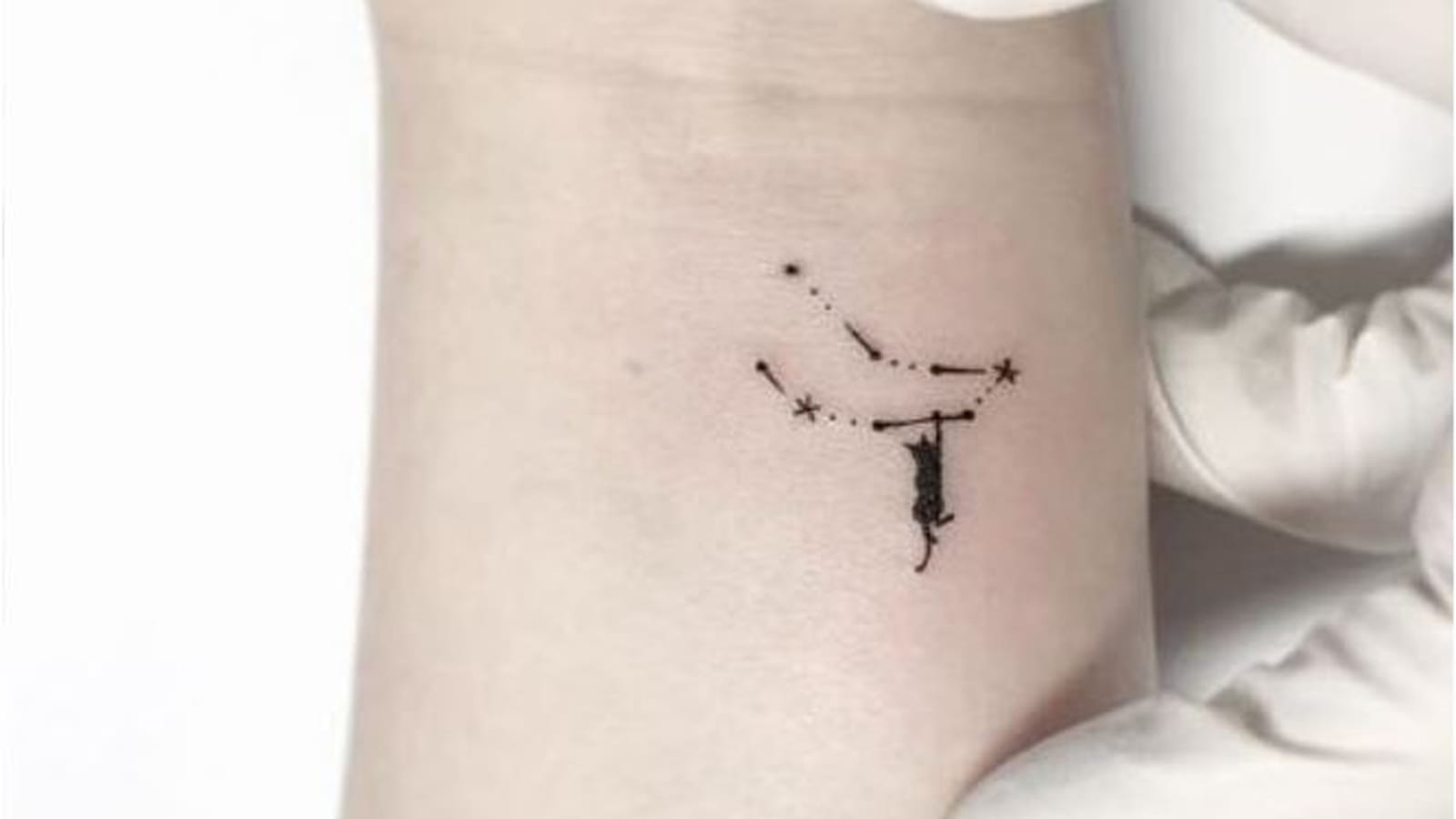 Chat et constellation sur le poignet