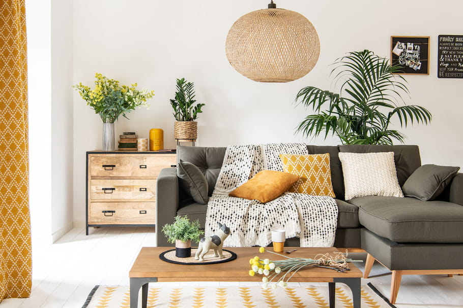 Pour ou contre… les fausses plantes ?