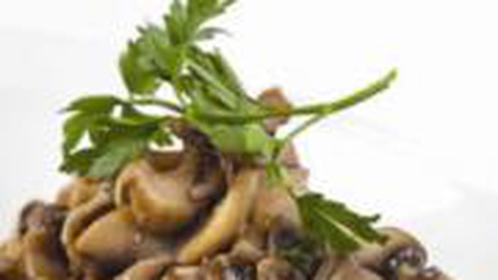 Cuscos de Bragança aux champignons sautés