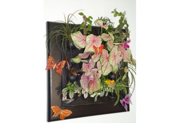 Un tableau végétal très coloré