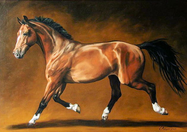 Kashmir empereur des chevaux