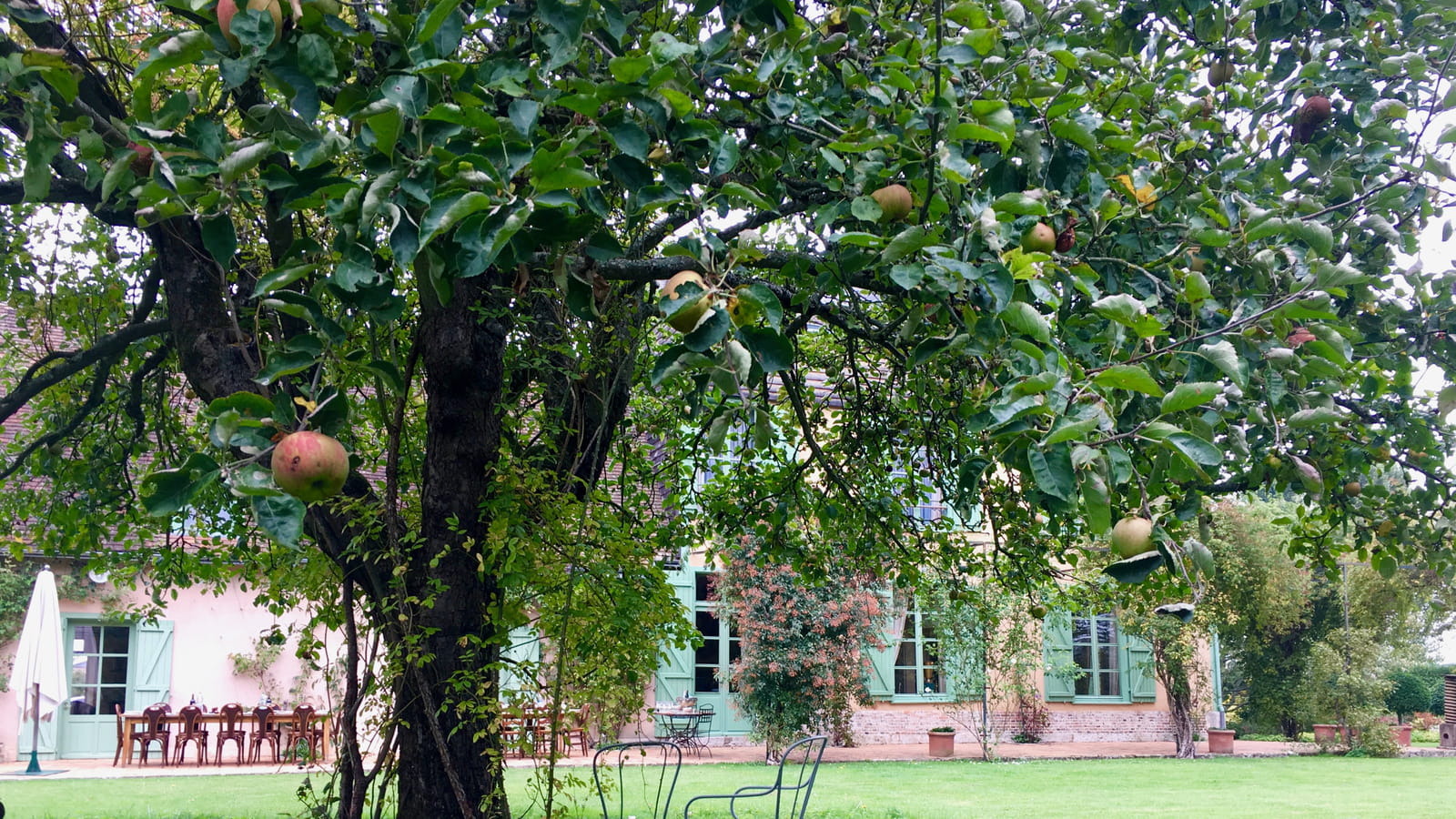 Pommier