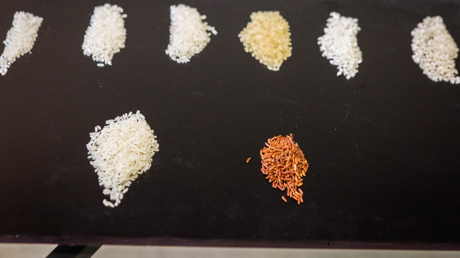 Deux grandes familles de riz