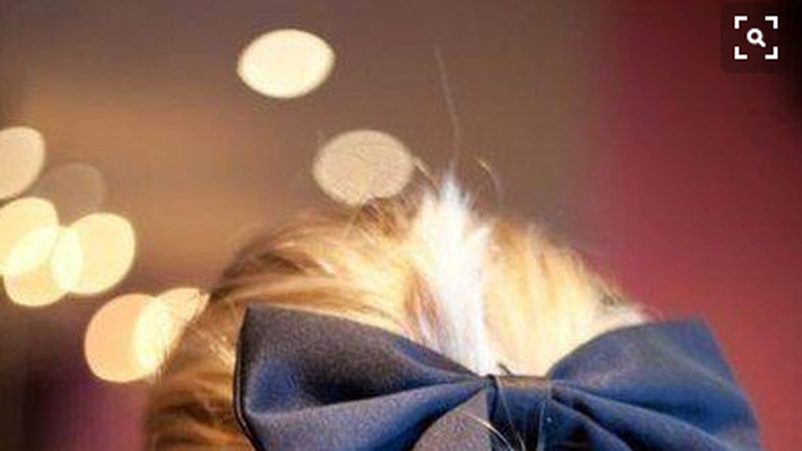 Le chignon avec nœud 