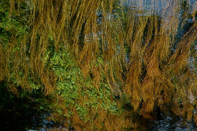Le monde à l'envers