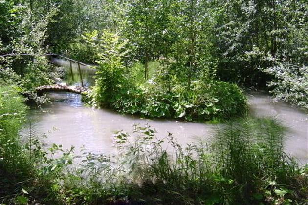 Un c&ocirc;t&eacute; tr&egrave;s sauvage