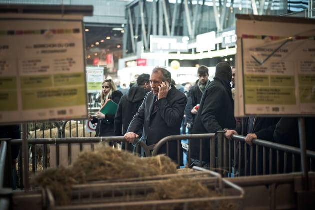 François Bayrou, pas interessé par les animaux
