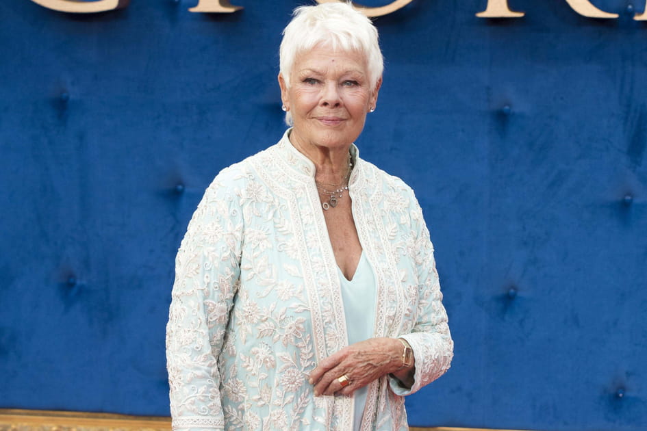Les cheveux blancs de Judi Dench