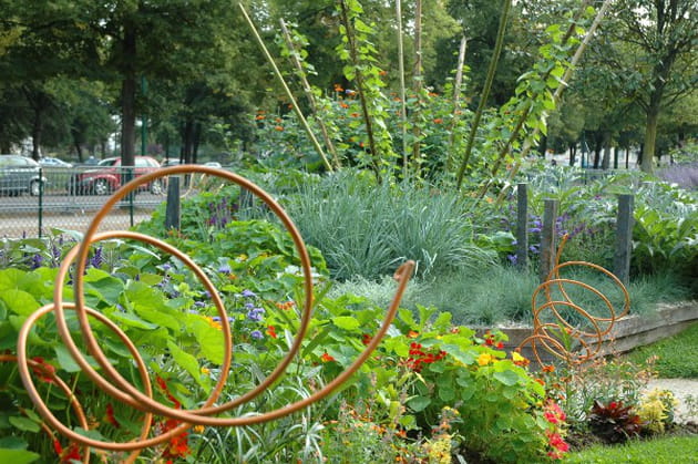 Le grain de folie du Square Carnot