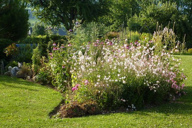 Le jardin de Véronique