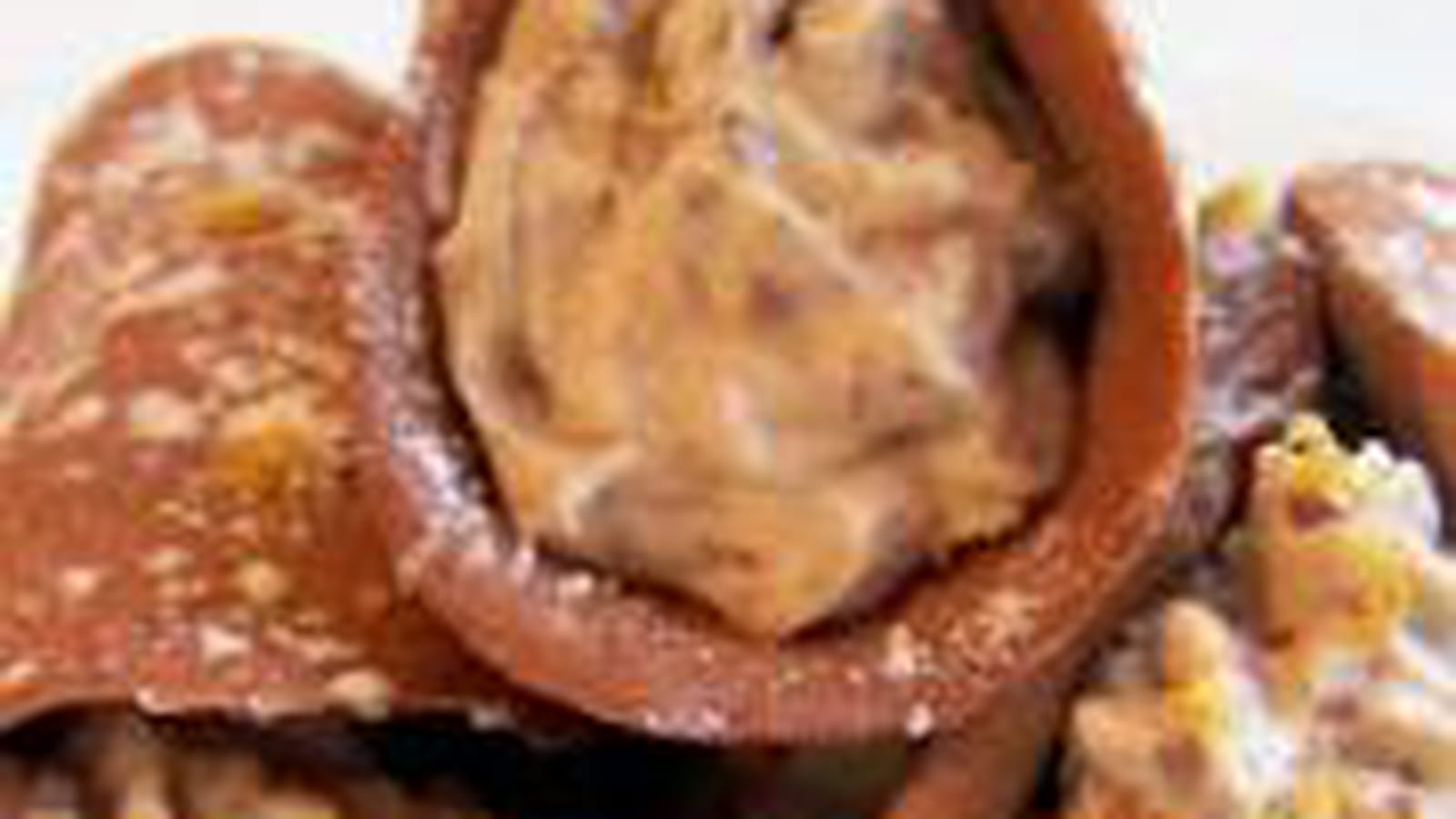 Cannellonis ricotta et cacao