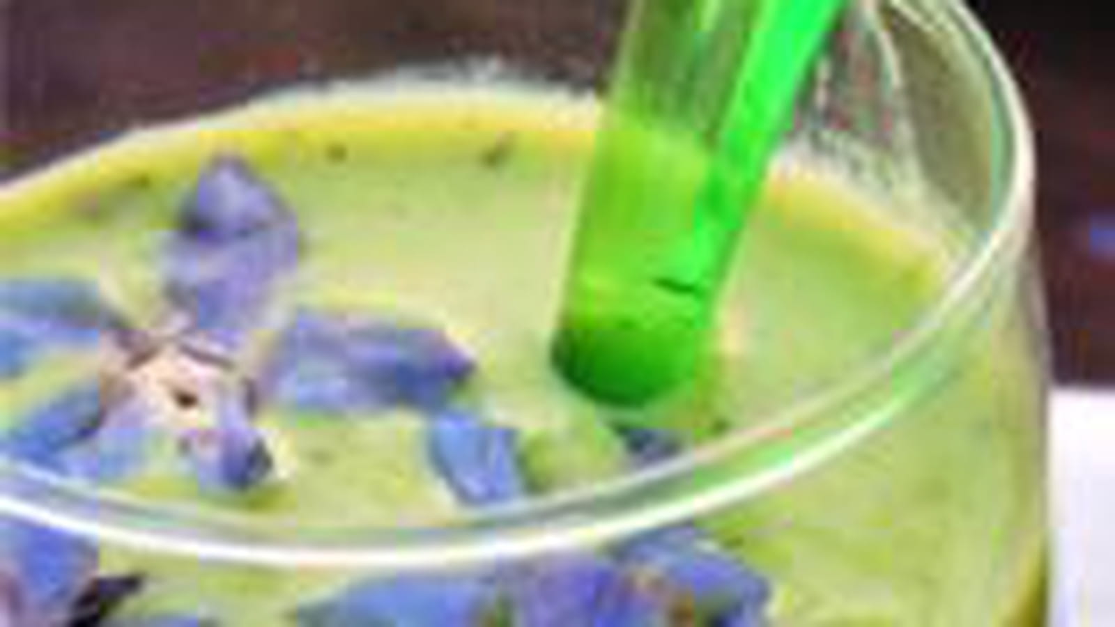 Velouté de petits pois