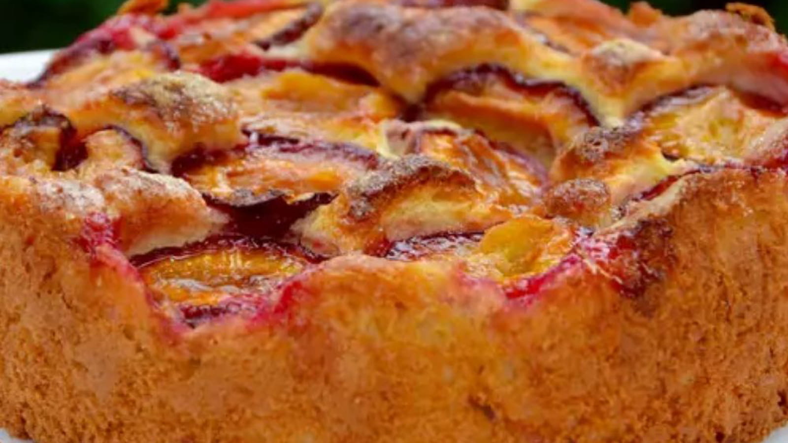 Gâteau brioché aux prunes