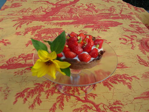 Tartes cacaotées à la crème de pistache et aux fraises