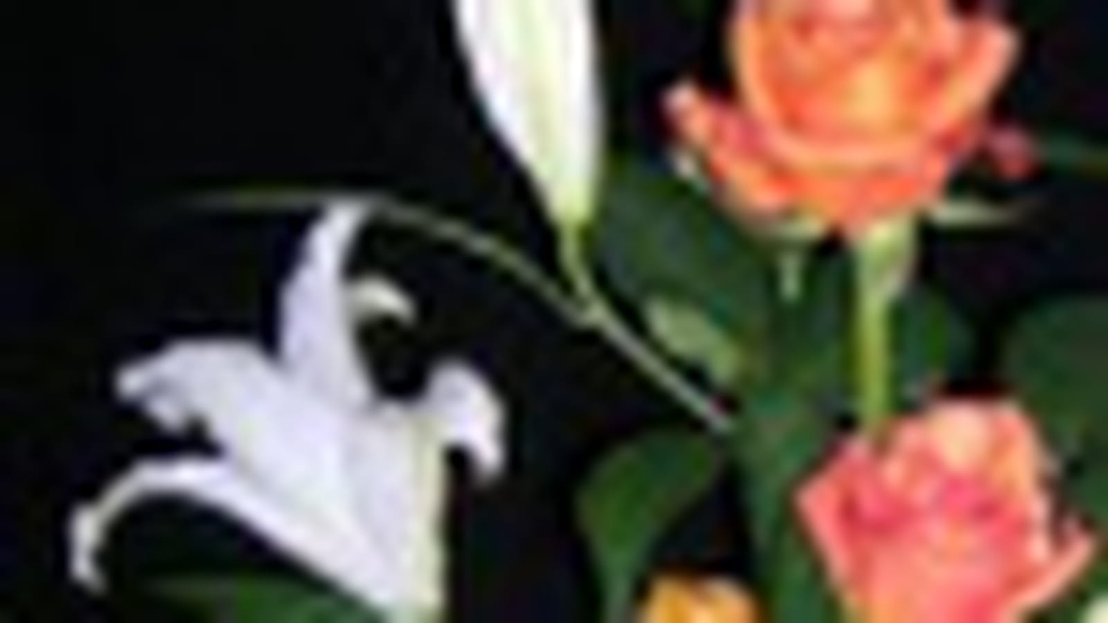 Composition florale