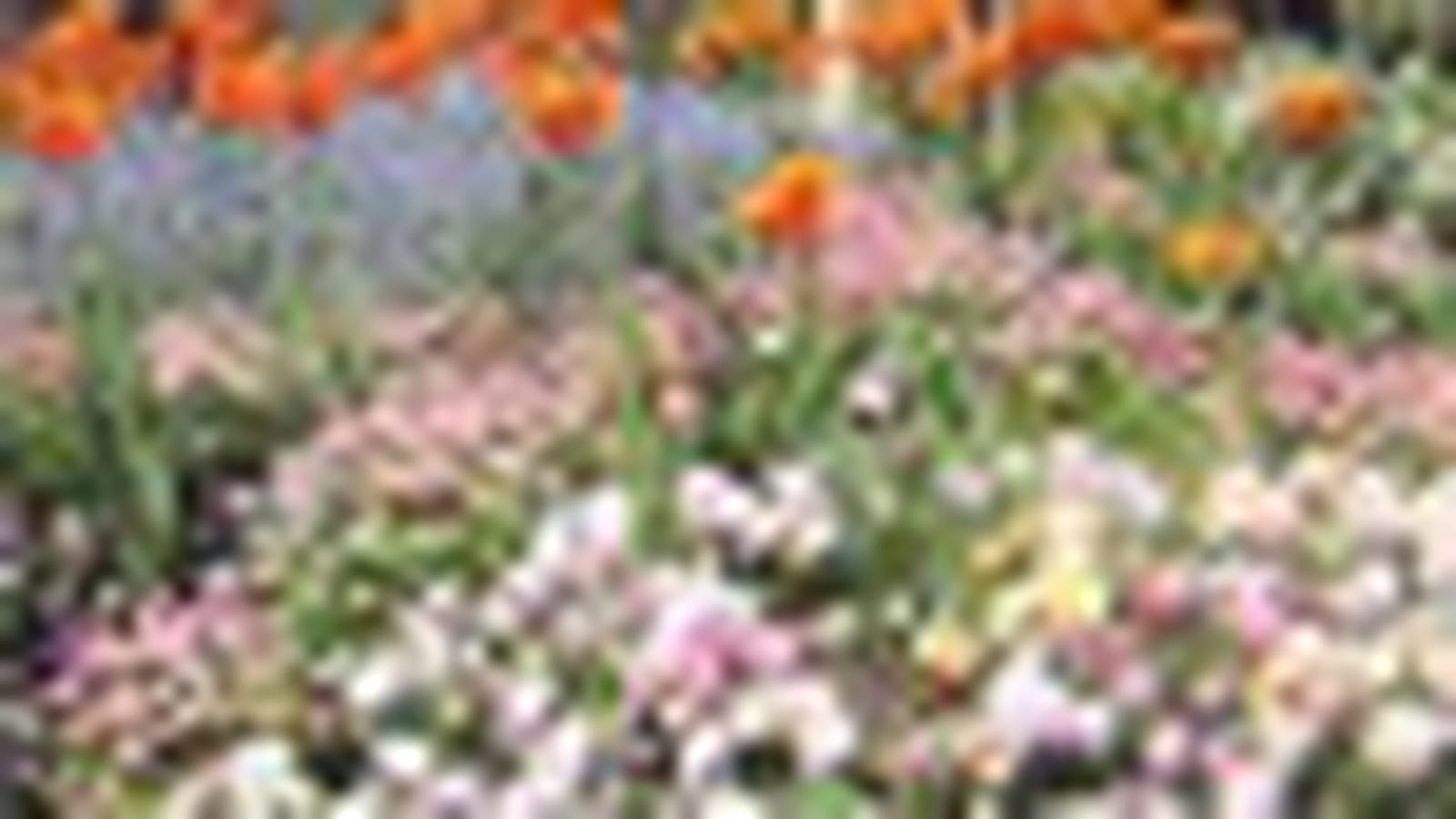 Jardin florilège
