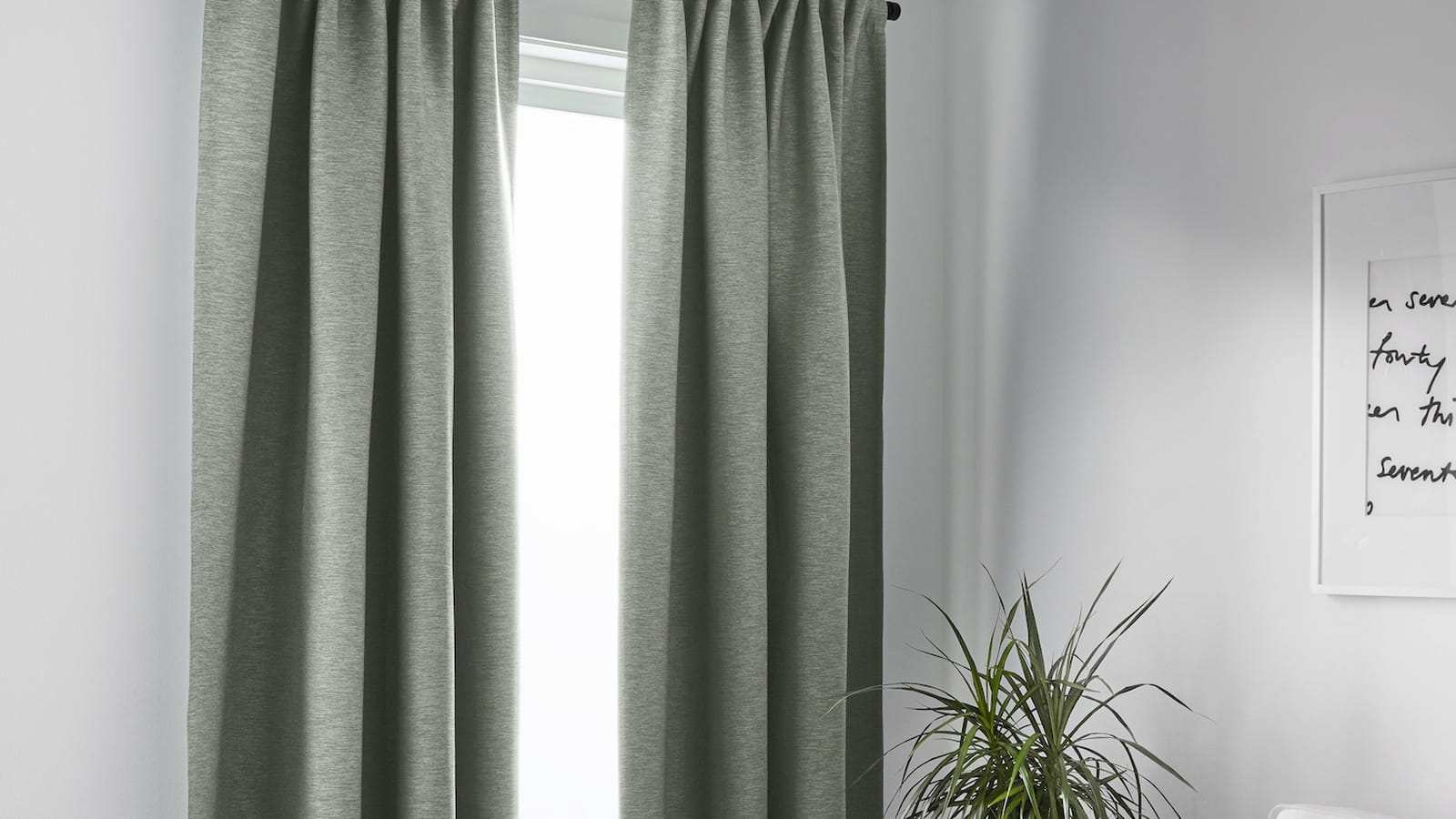 Rideaux vert sauge