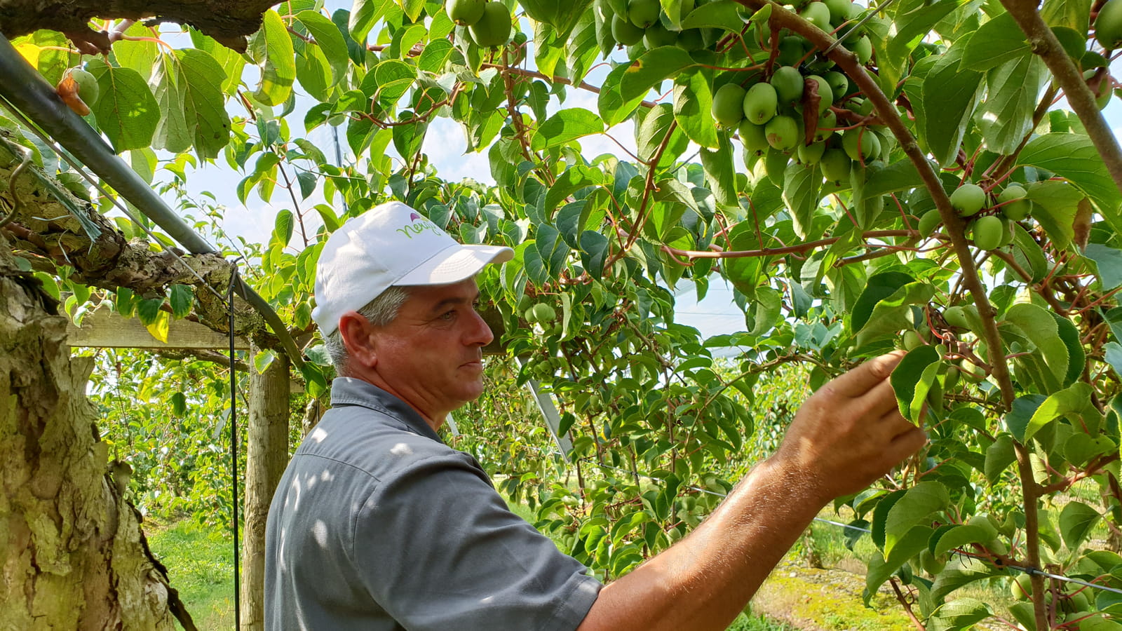 Producteurs passionnées 