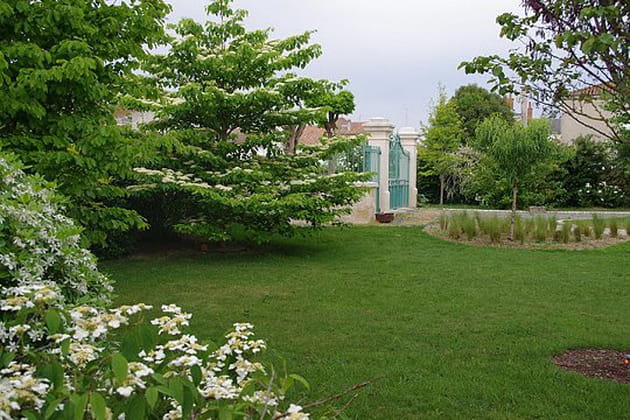 Un jardin tr&egrave;s verdoyant