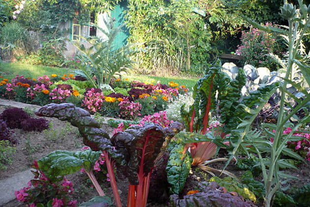 Un jardin vosgien qui réserve bien des surprises
