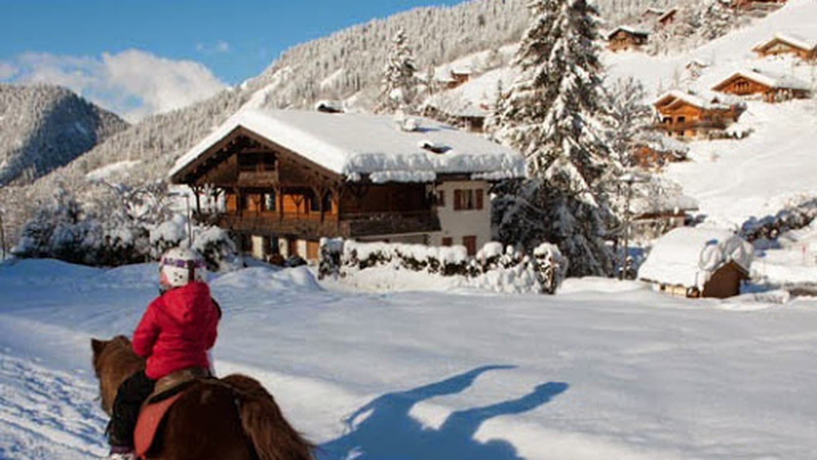 De la luge en Poney