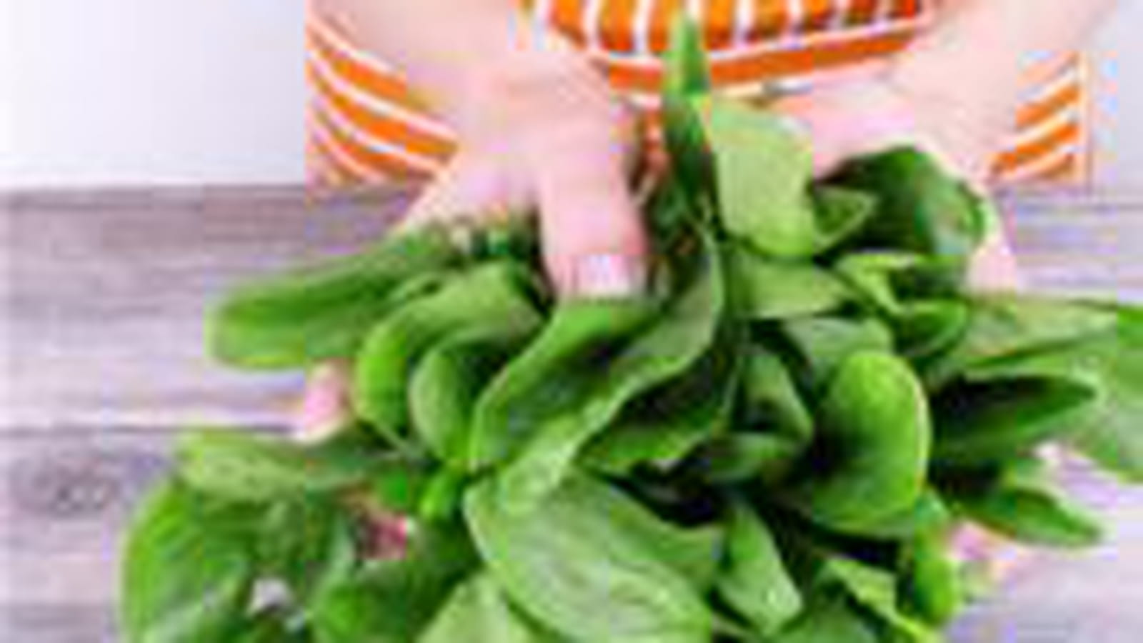 Les légumes verts