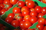 L'UFC-Que Choisir alerte : les tomates produites dans ce pays sont nettement plus chargées en pesticides