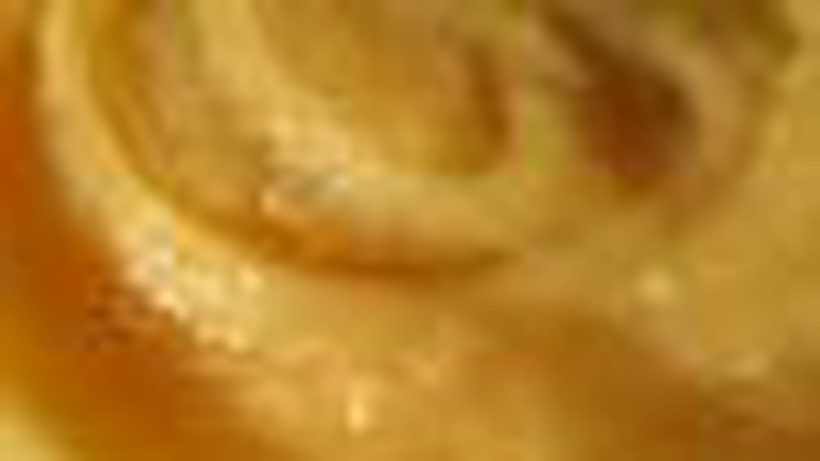 Pommes-coings