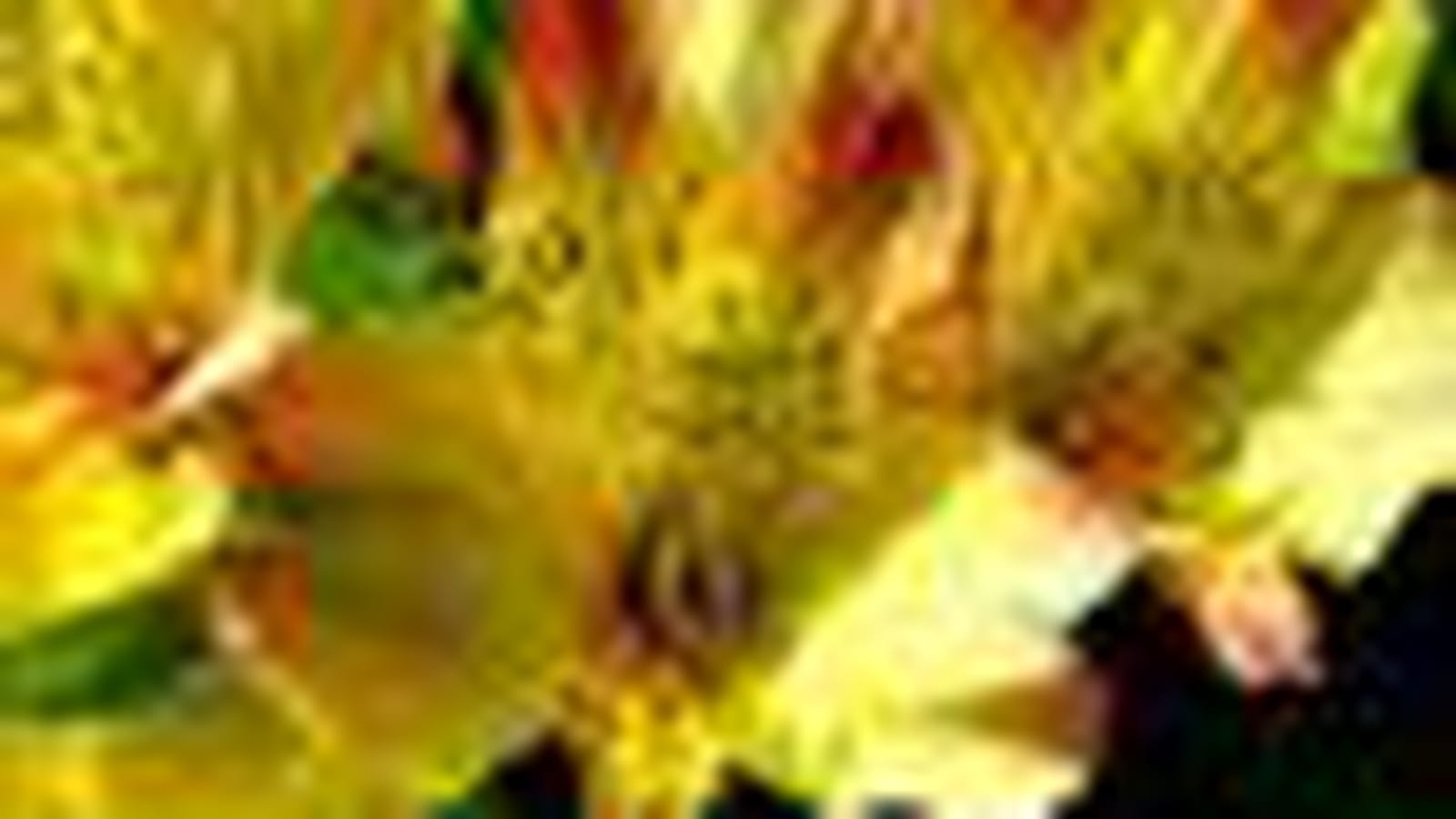 Bouquet de lis