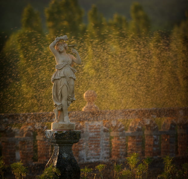 Des jardins remarquables