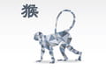 Horoscope Singe demain