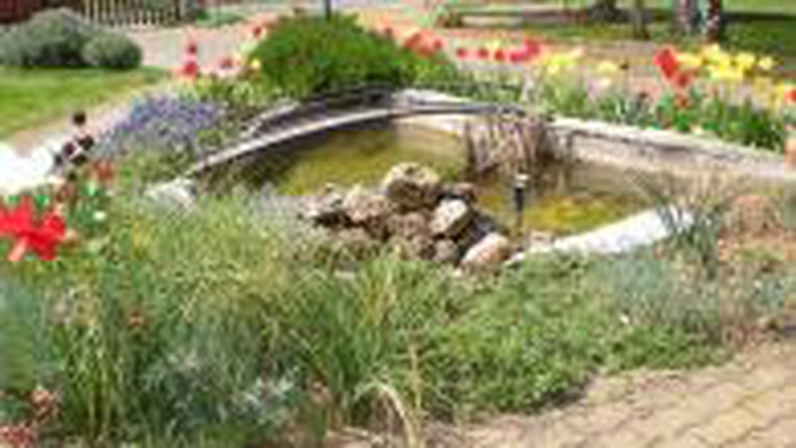 Bassin biologique