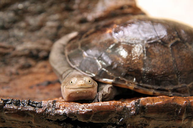 Les yeux dans les yeux