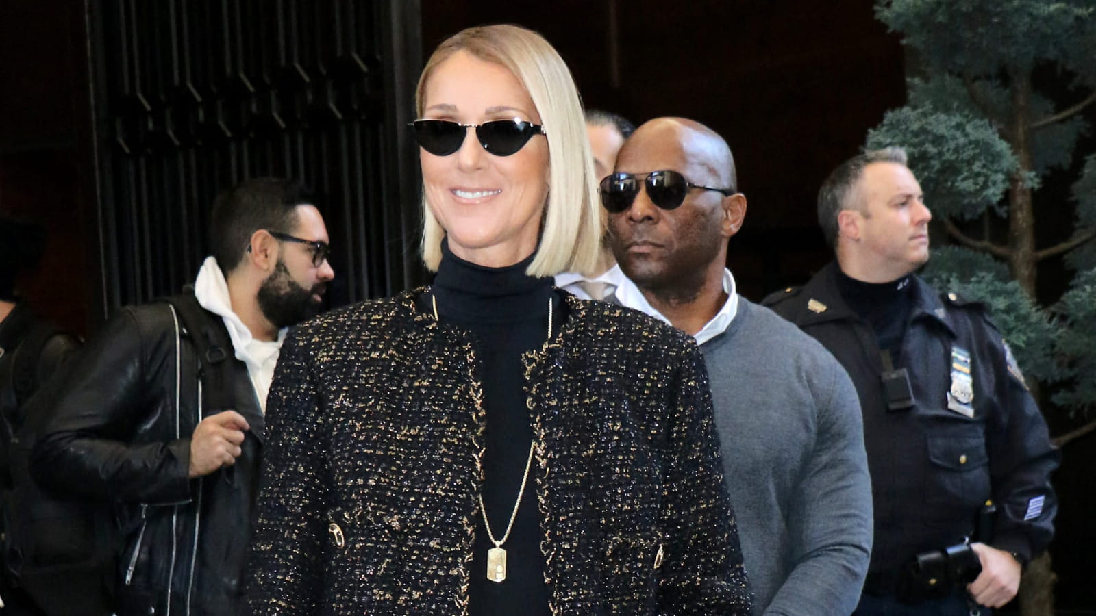 Céline Dion le 15 novembre 2019