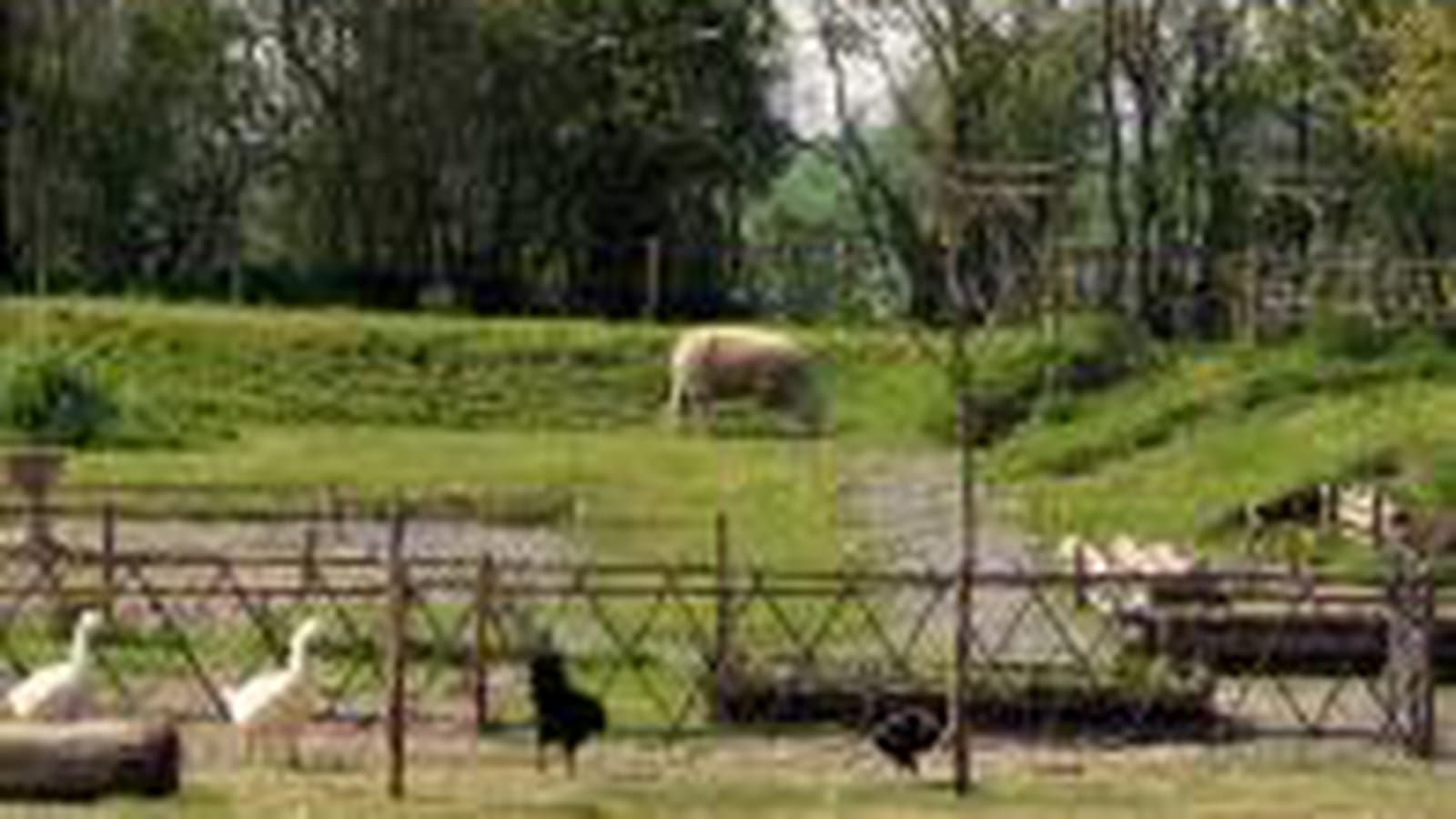 Barrières