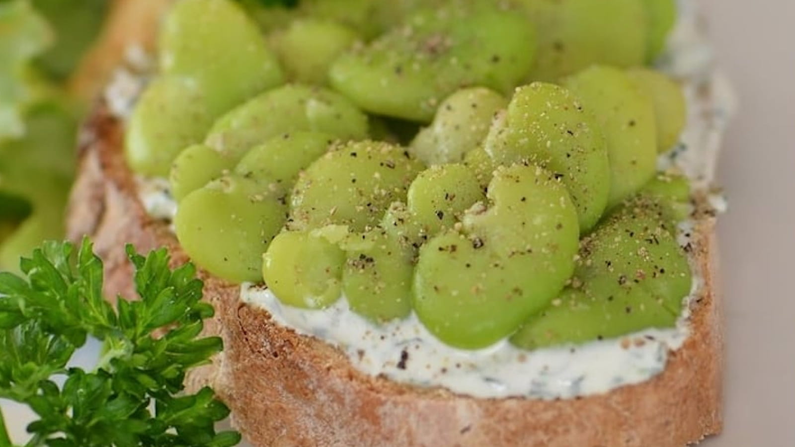 Tartine aux fèves