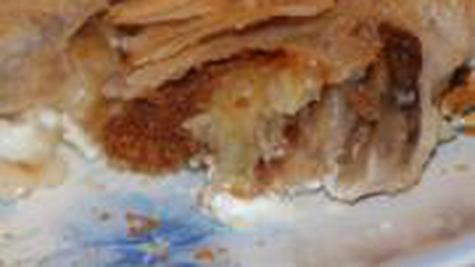 Brick banane spéculoos