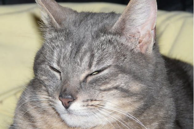 Une Minette doublement heureuse