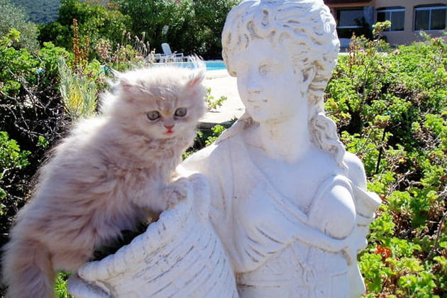 Fig&eacute;e telle une statue