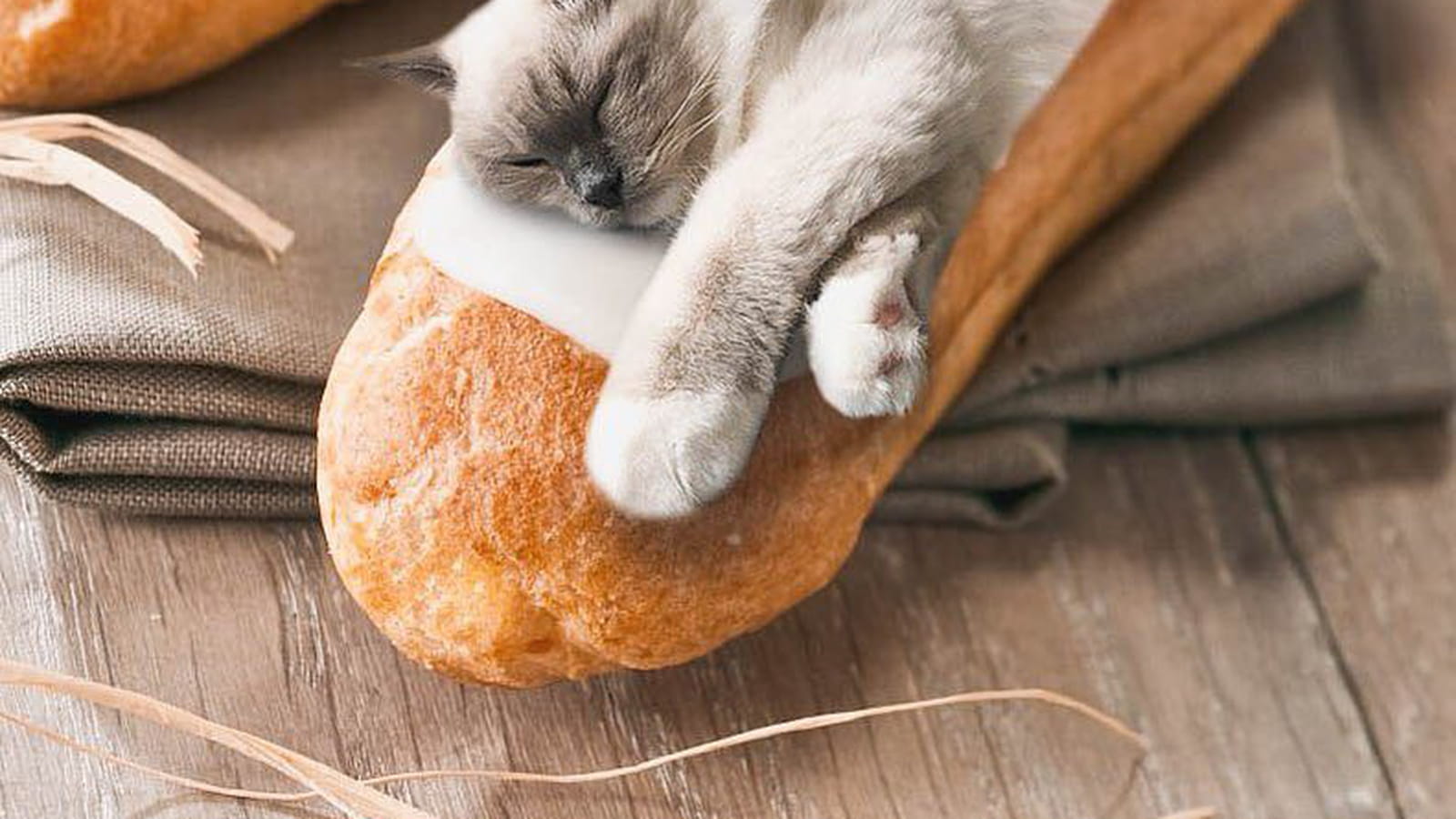 Rapide comme l'éclair