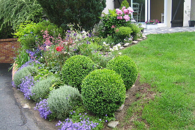 Une impressionnante collection d'heuch&egrave;res
