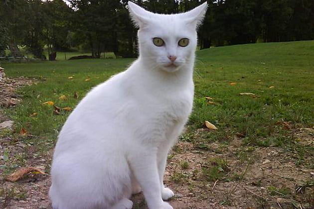 Savoir regarder le photographe