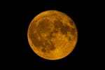 La Pleine Lune du Cerf arrive et promet un spectacle unique : la date à ne surtout pas manquer